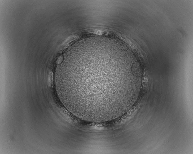 X0000111840656200907301051