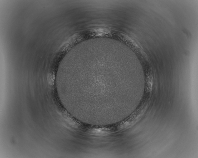 X0000111840657200907301051