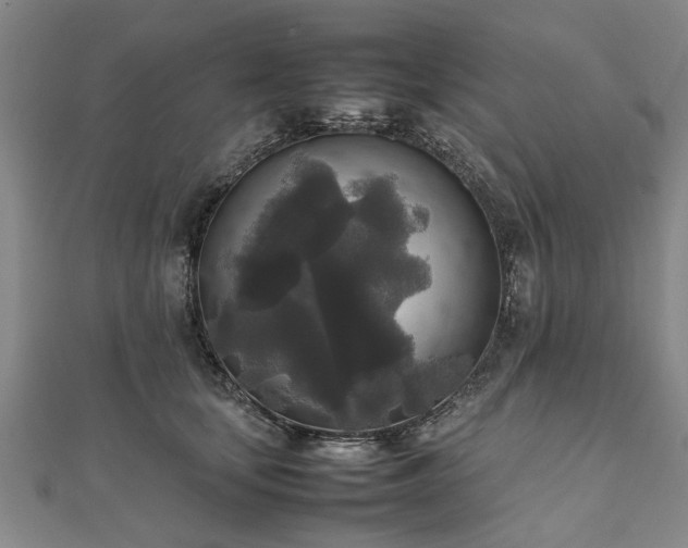 X0000111840659200907301051