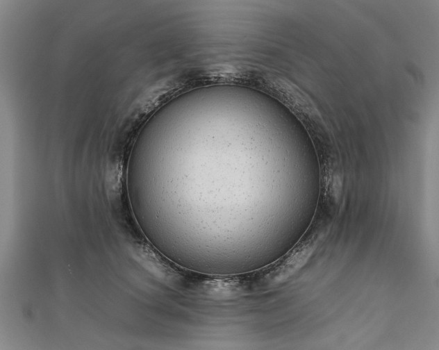 X0000111840660200907301051