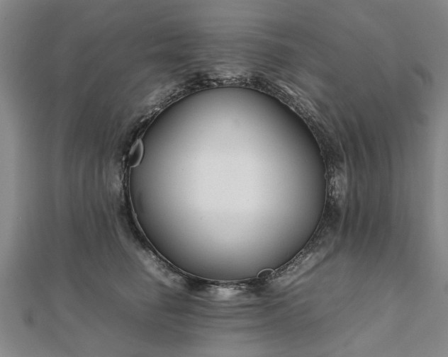 X0000111840662200907301051