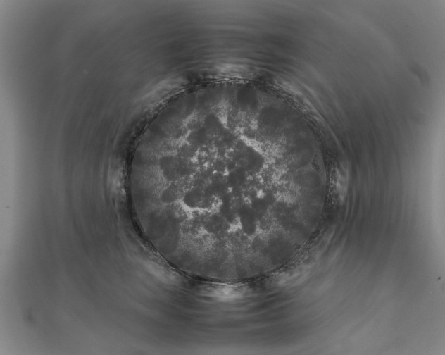 X0000111840663200907301051