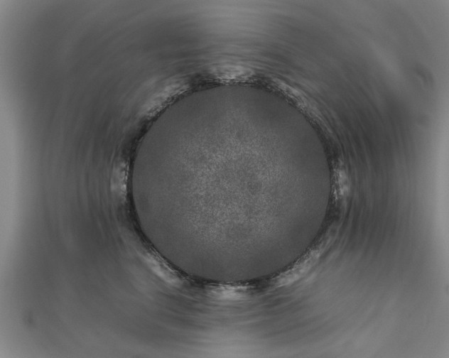 X0000111840664200907301051