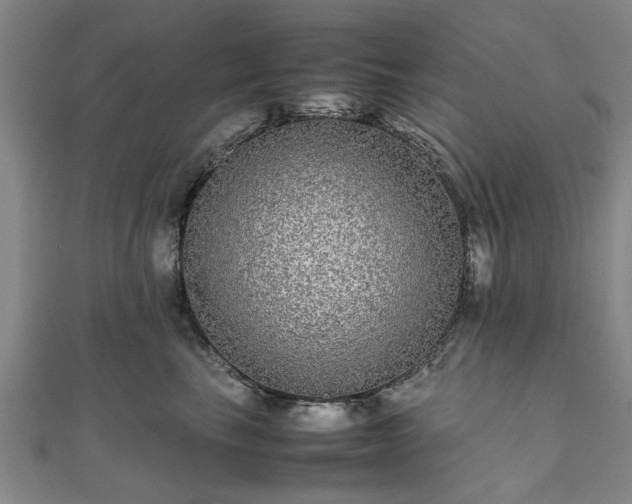 X0000111840665200907301051