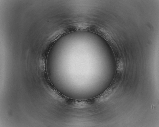 X0000111840666200907301051