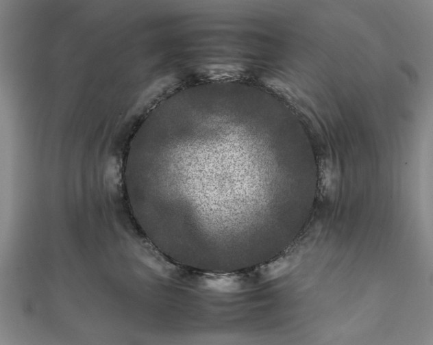 X0000111840667200907301051