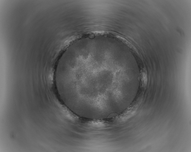 X0000111840668200907301051