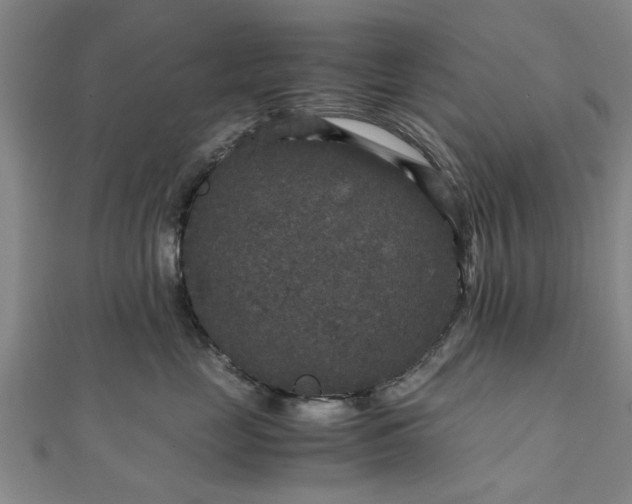 X0000111840669200907301051