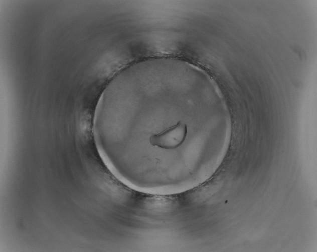 X0000111840672200907301051