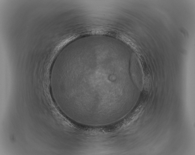 X0000111840673200907301051