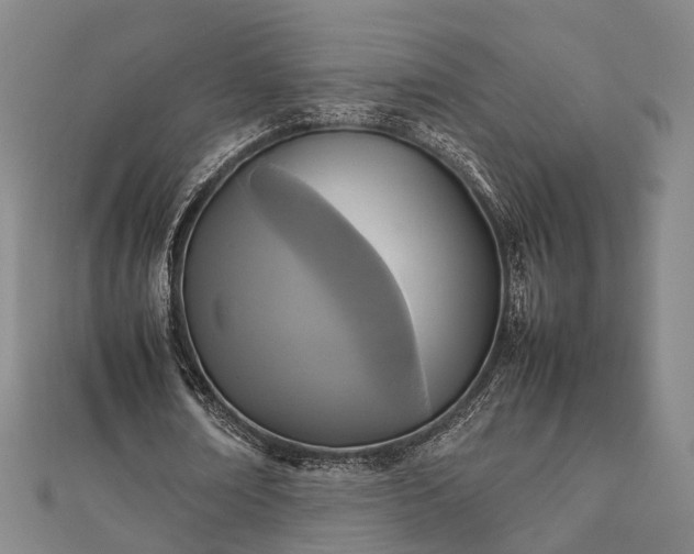 X0000111840674200907301051