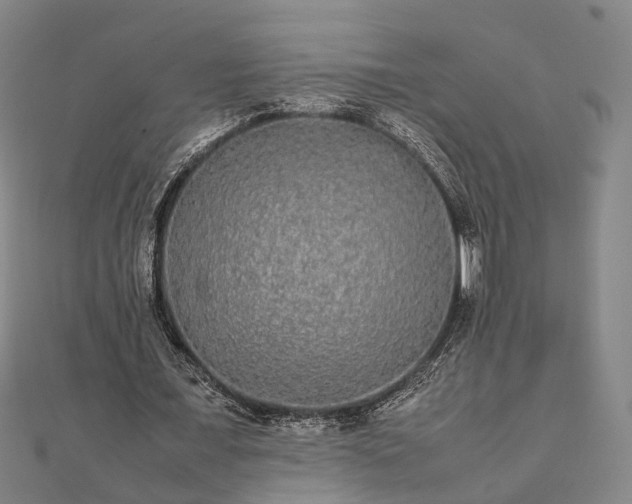 X0000111840675200907301051