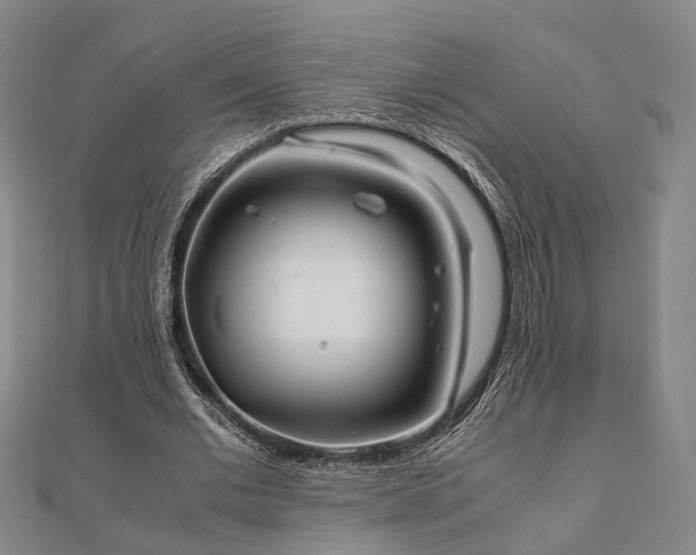 X0000111840677200907301051