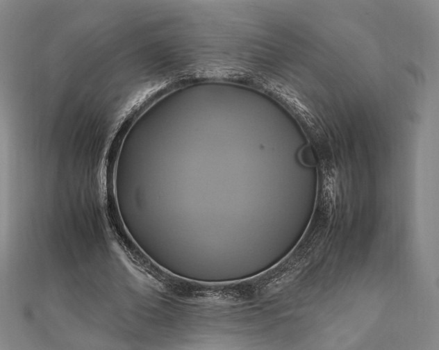 X0000111840678200907301051