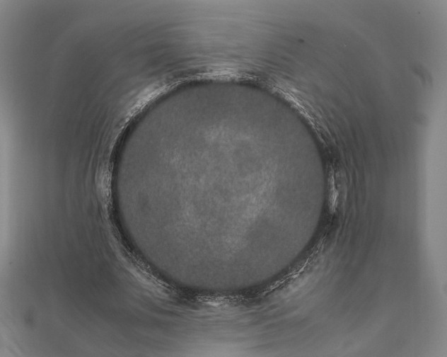 X0000111840679200907301051