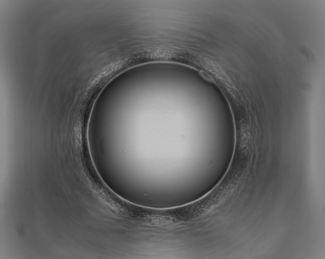 X0000111840681200907301051