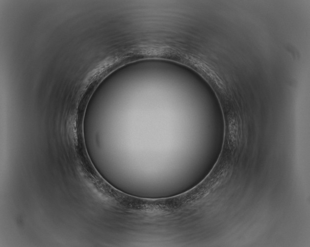 X0000111840682200907301051