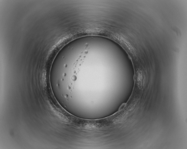 X0000111840684200907301051