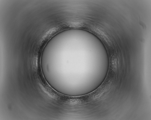 X0000111840686200907301051