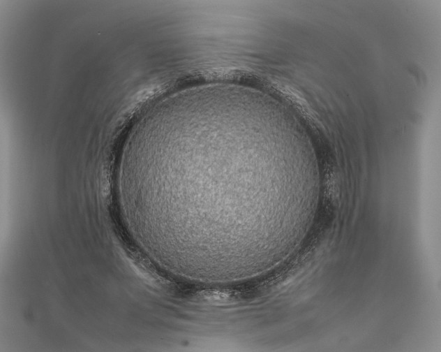 X0000111840687200907301051