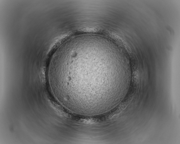 X0000111840688200907301051