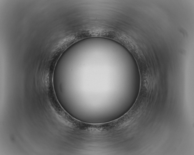 X0000111840690200907301051