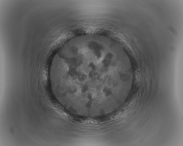 X0000111840691200907301051