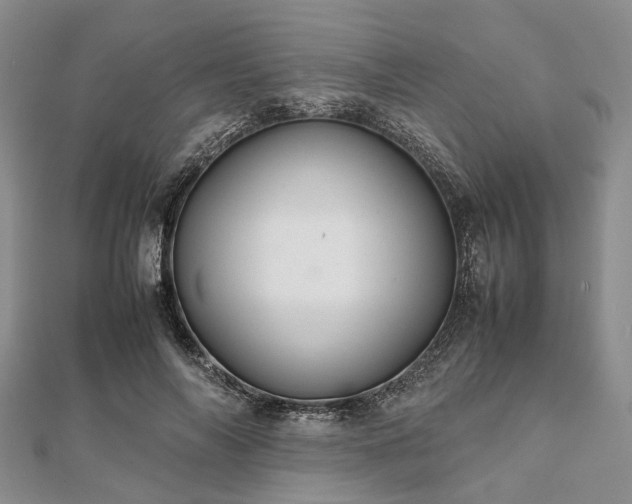 X0000111840694200907301050