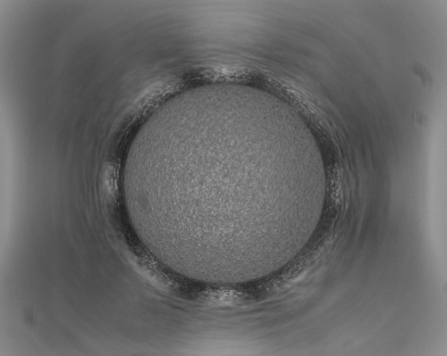 X0000111840695200907301050