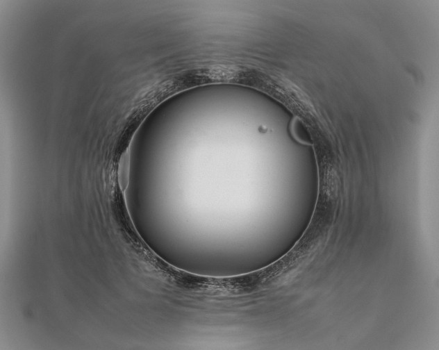 X0000111840697200907301050