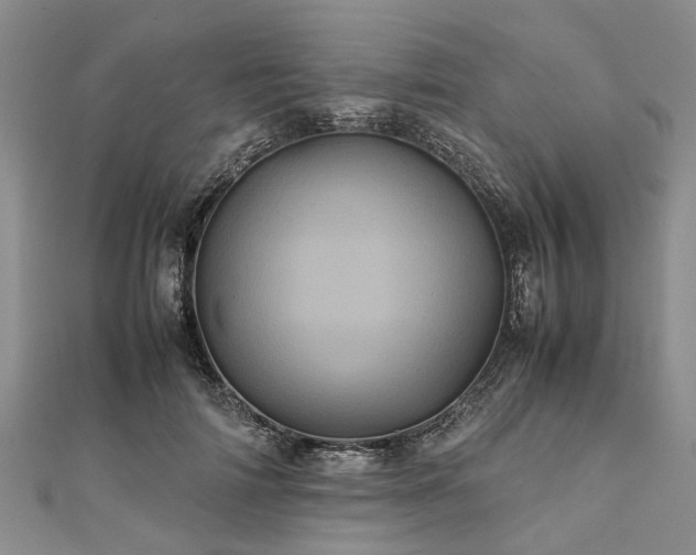 X0000111840698200907301050