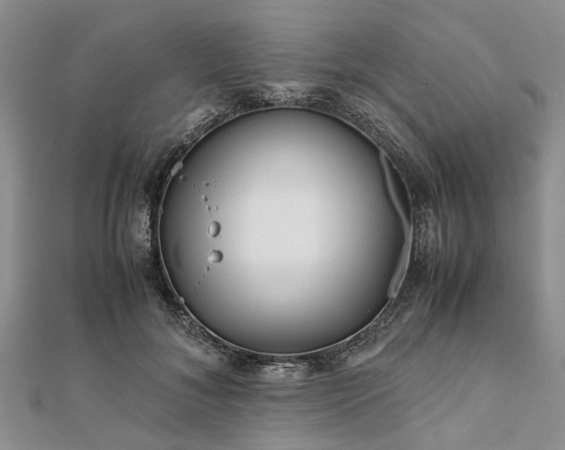 X0000111840700200907301050