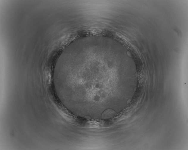 X0000111840703200907301050