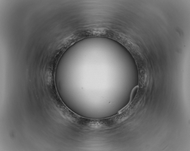 X0000111840704200907301050