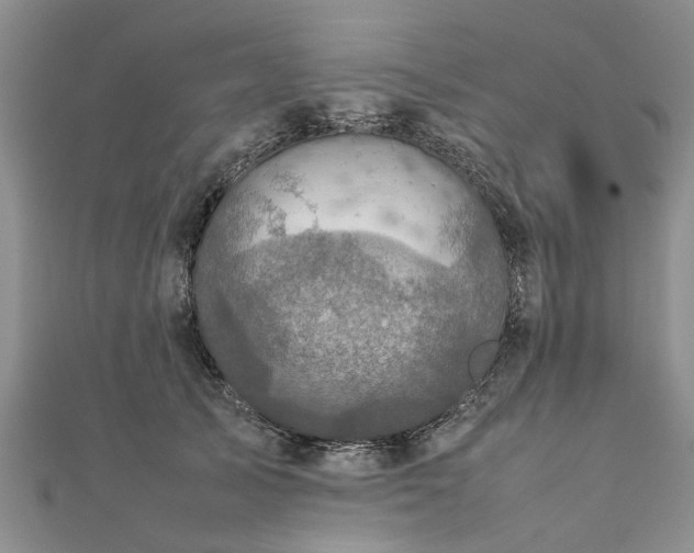 X0000111840705200907301050