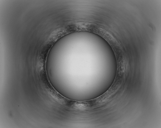 X0000111840706200907301050