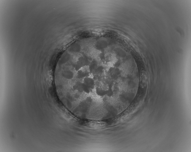 X0000111840707200907301050