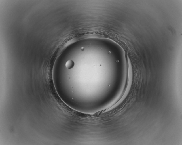 X0000111840708200907301050