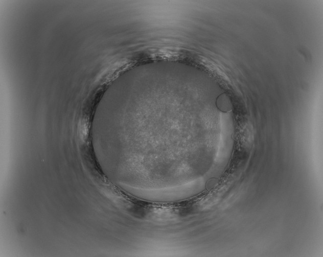 X0000111840709200907301050