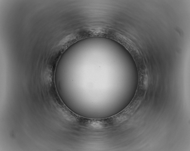 X0000111840710200907301050