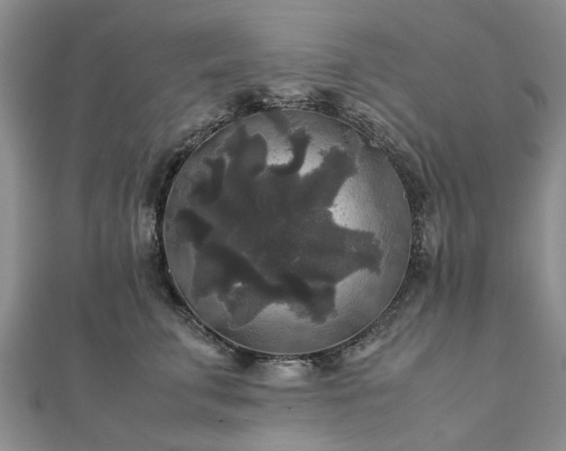 X0000111840711200907301050