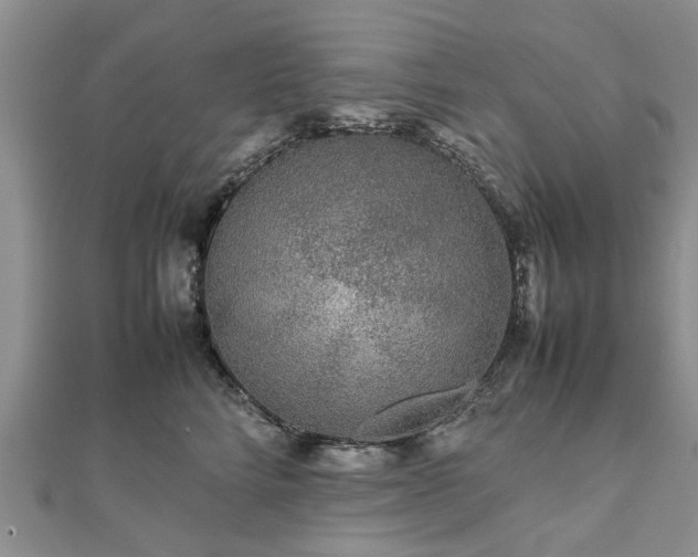 X0000111840712200907301050