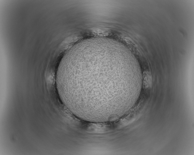 X0000111840713200907301050