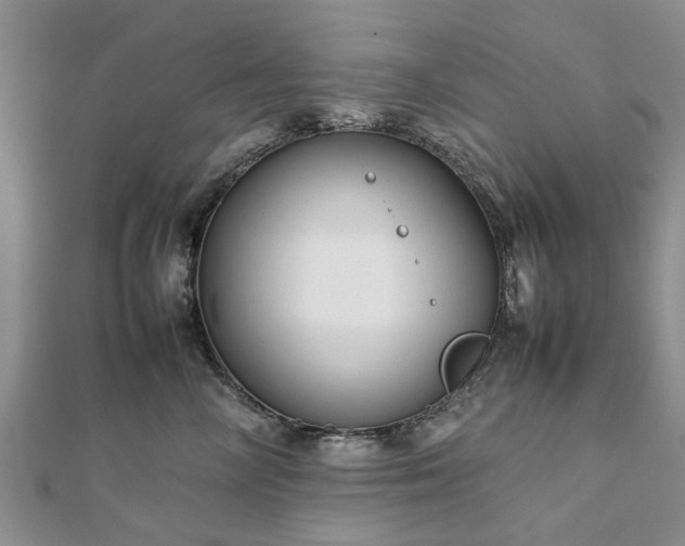 X0000111840714200907301050