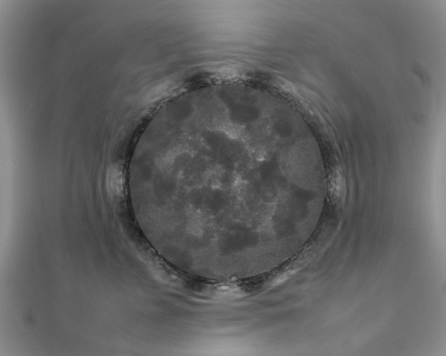 X0000111840715200907301050