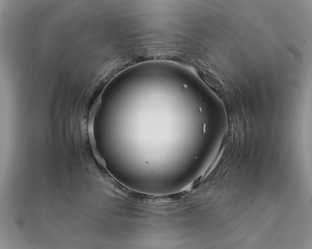 X0000111840716200907301050