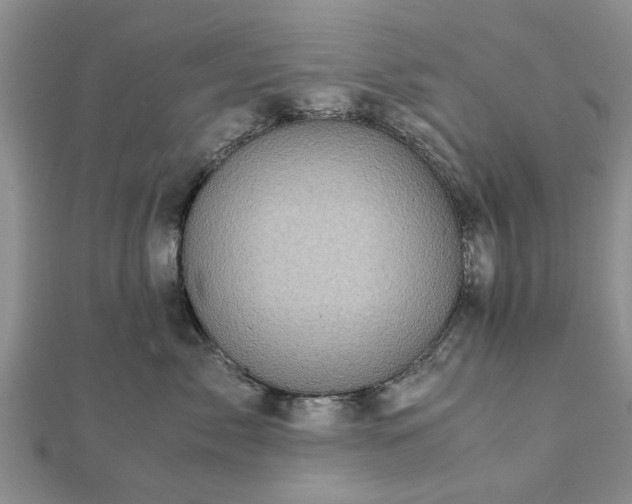 X0000111840717200907301050