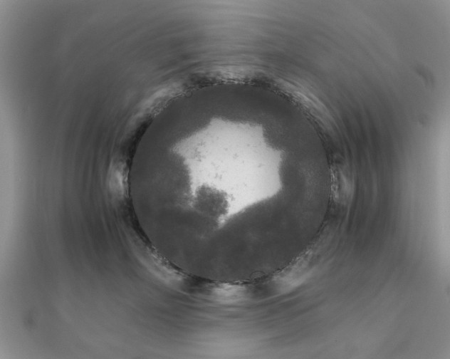 X0000111840718200907301050