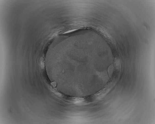 X0000111840719200907301050