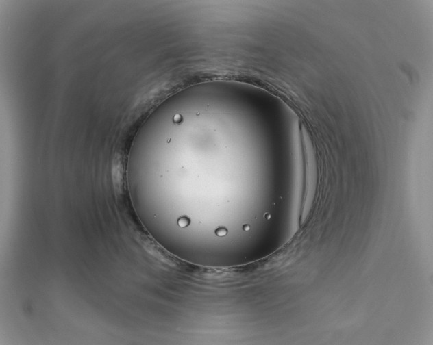 X0000111840720200907301050